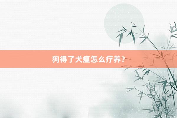 狗得了犬瘟怎么疗养？